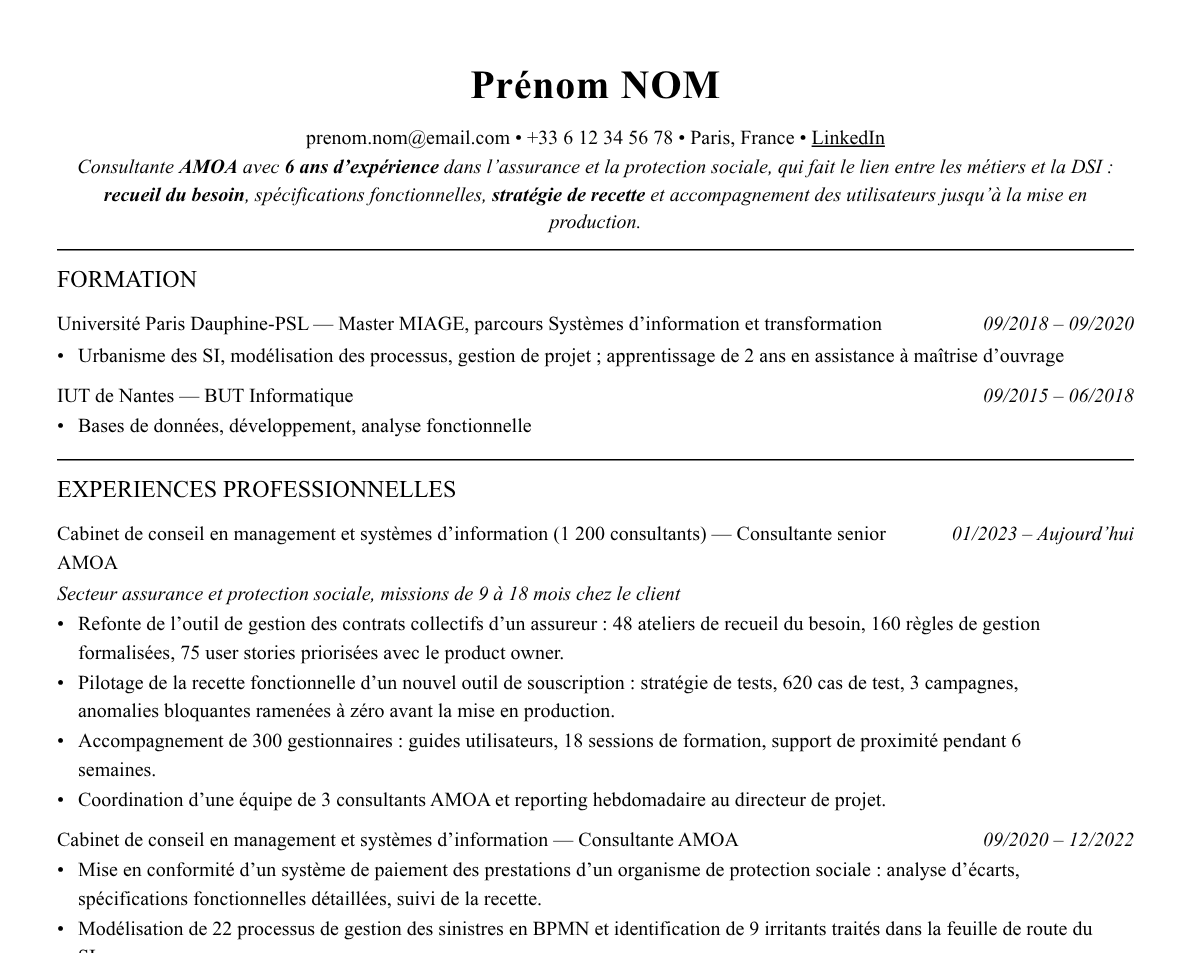 Aperçu : Exemple de CV Consultant AMOA