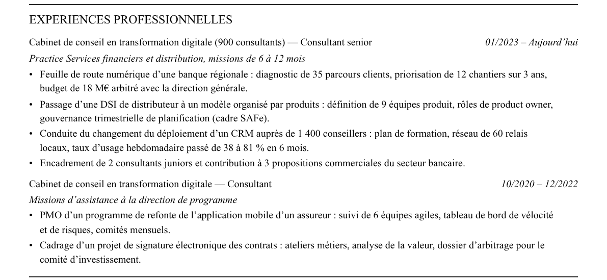 CV consultant en transformation digitale : expériences